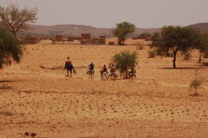 Niger_lavoro-nei-campi-067